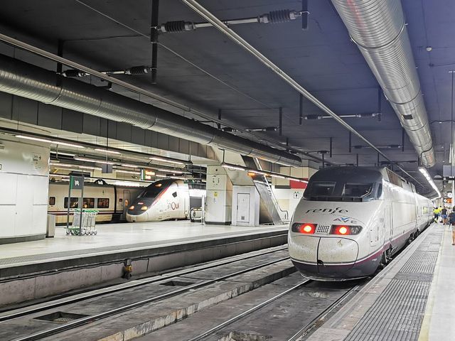 Estació de Barcelona Sants